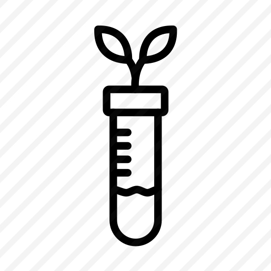Botany,biology,science,plant,bio preview
