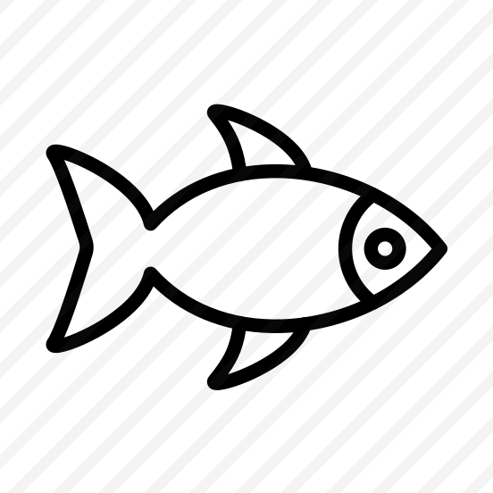 Fish,food,biology,animal,meat preview
