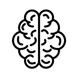 Human Brain,human,brain,medical,body Organ icon