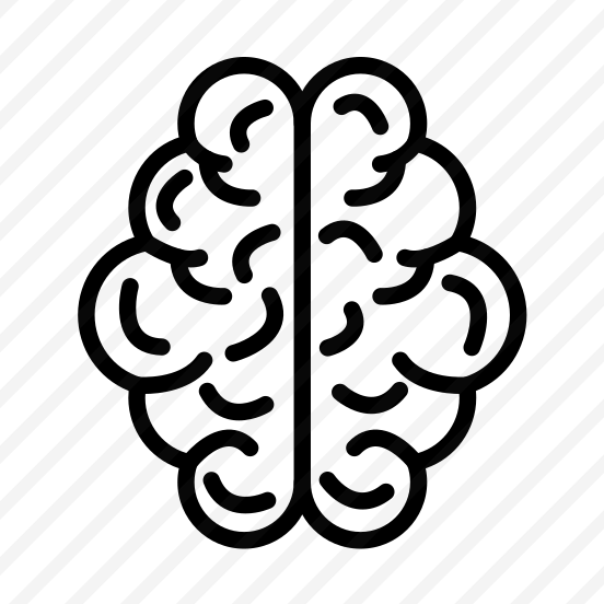 Human Brain,human,brain,medical,body Organ preview