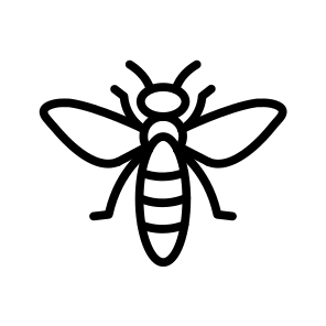 Insect,bug,entomology,biology,animals icon