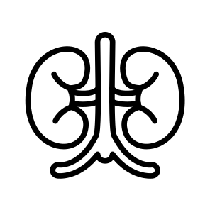 Kidney,kidneys,organ,urologist,medical icon