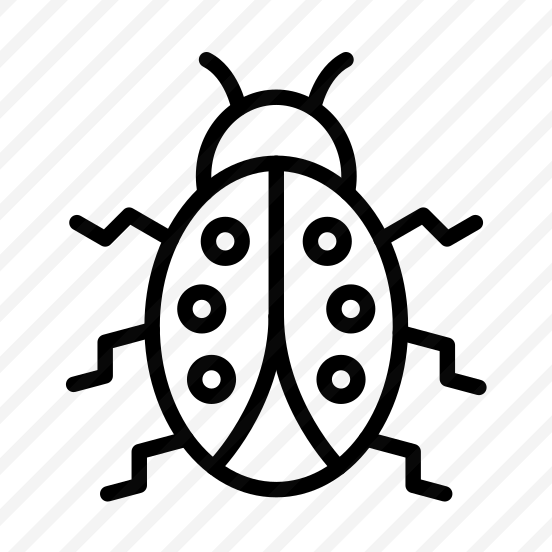 Lady Bug,bug,insect,ladybug,biology preview