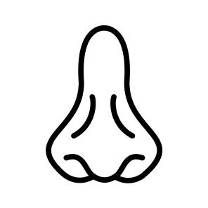 Nose,smell,medical,face,body Parts icon