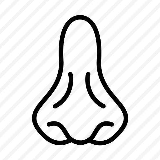 Nose,smell,medical,face,body Parts preview