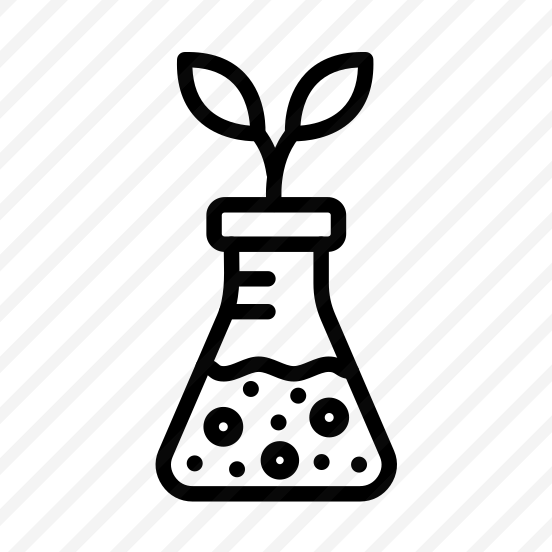 Plant,leaf,leaves,biology,nature preview