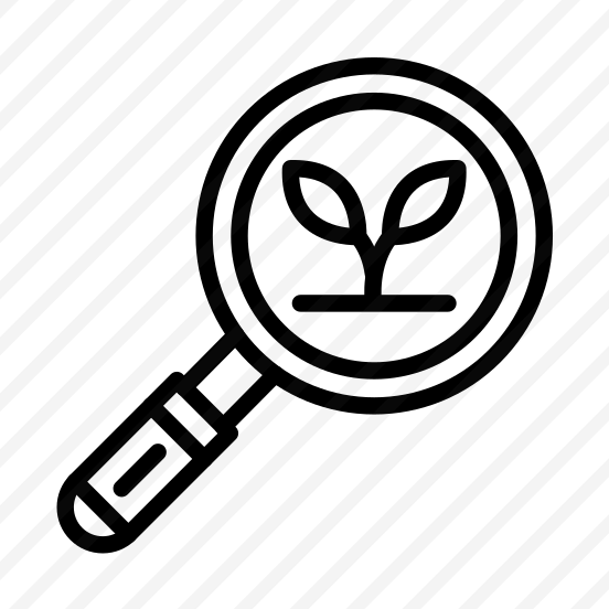 Search,eco Search,organic,searching,seo Sem preview