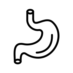 Stomach,digestion,bio,body Parts,acid icon