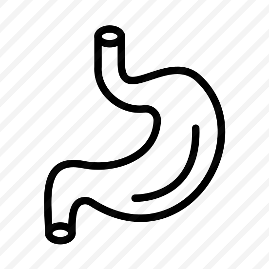Stomach,digestion,bio,body Parts,acid preview