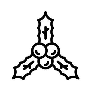 Holly,xmas,christmas,ornament,decoration icon