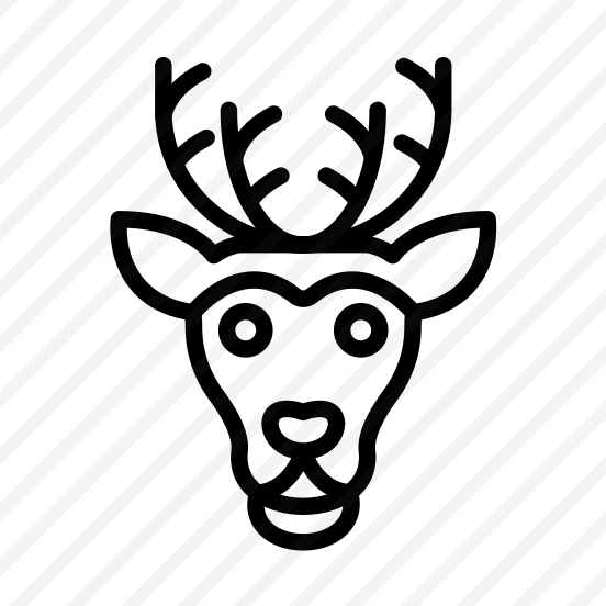 Reindeer,deer,christmas,animal,winter preview