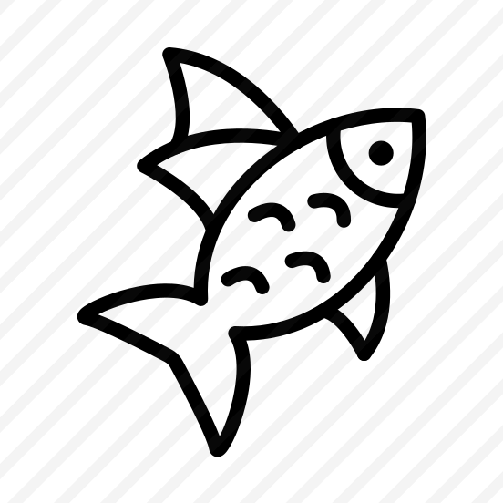 Fly Fishing, Angling, Sport, Casting, Technique, Fishing preview