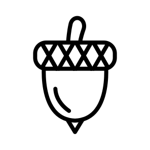 Acorn,food And Restaurant,vegan,healthy Food,nature icon