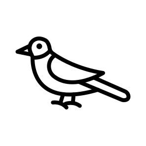 Bird,wings,pet,fly,animal icon