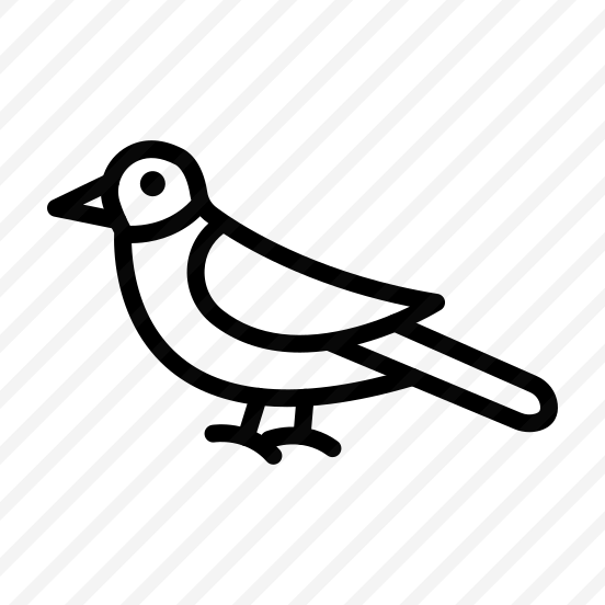 Bird,wings,pet,fly,animal preview