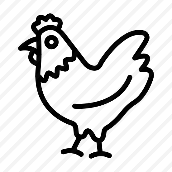Chicken,hen,wild Life,animal,zoology preview