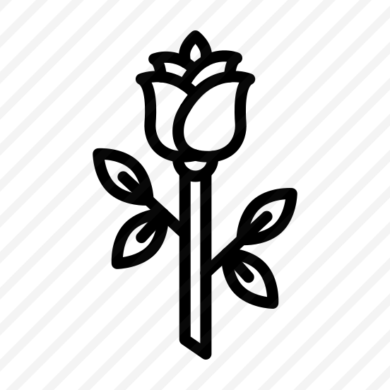 Flower,plant,farming And Gardening,nature,petals preview