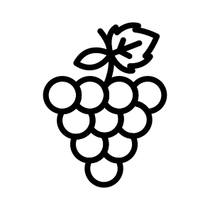 Grapes,fruit,healthy Food,grape,vegetarian icon
