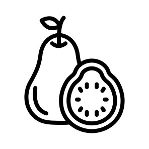 Guava,fruit,healthy Food,vegetarian,food icon