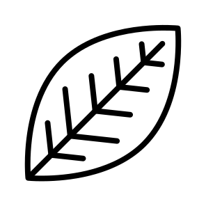 Leaf,nature,plant,leaves,thanksgiving icon