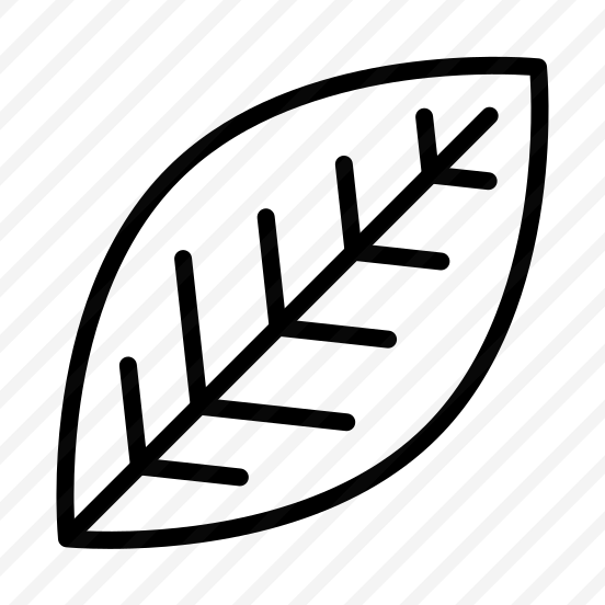 Leaf,nature,plant,leaves,thanksgiving preview
