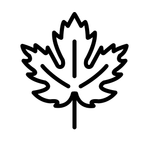 Maple Leaf,maple,fall,leaf,nature icon