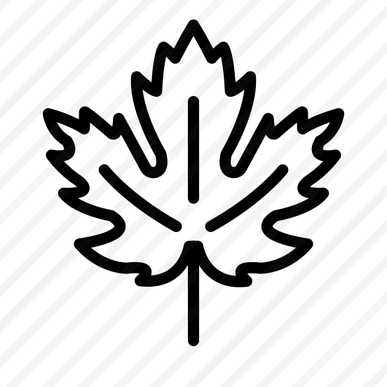 Maple Leaf,maple,fall,leaf,nature preview