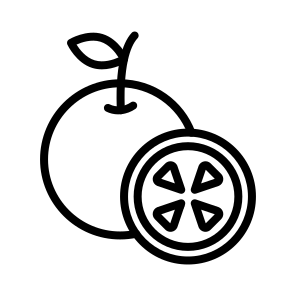 Orange,fruit,food And Restaurant,vegetarian,food icon
