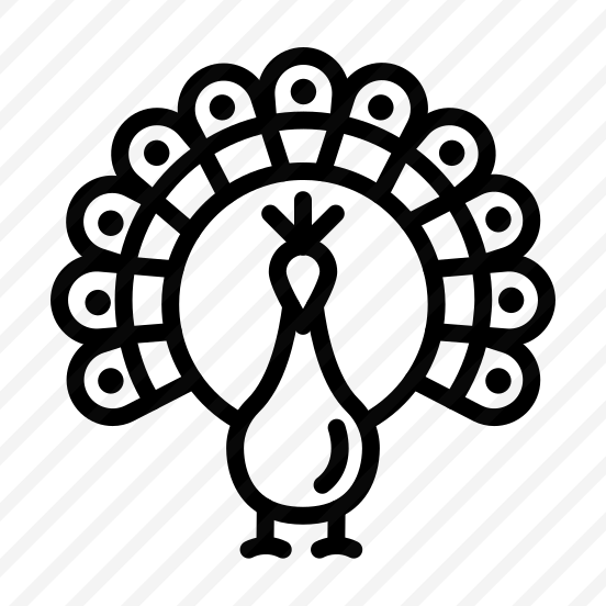 Peacock,animals,animal,wild Life,zoo preview