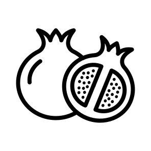 Pomegranate,vegan,healthy Food,food,diet icon
