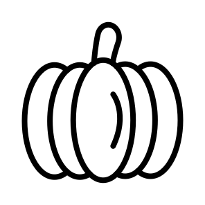 Pumpkin,healthy Food,food,vegetarian,diet icon