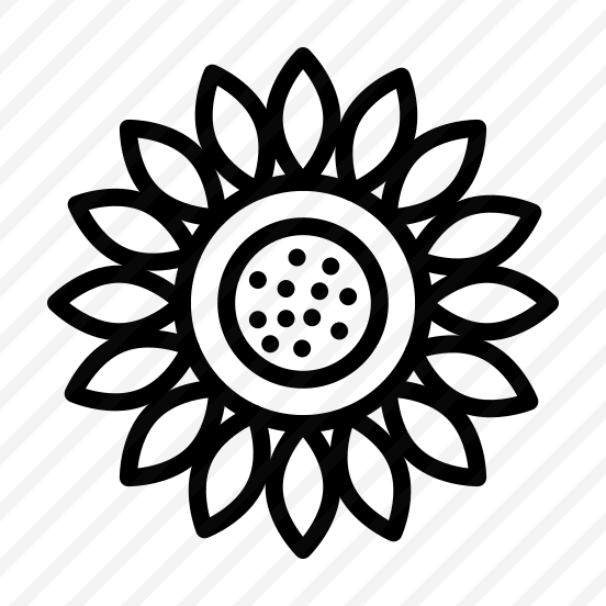 Sunflower,plant,garden,nature,gardening preview