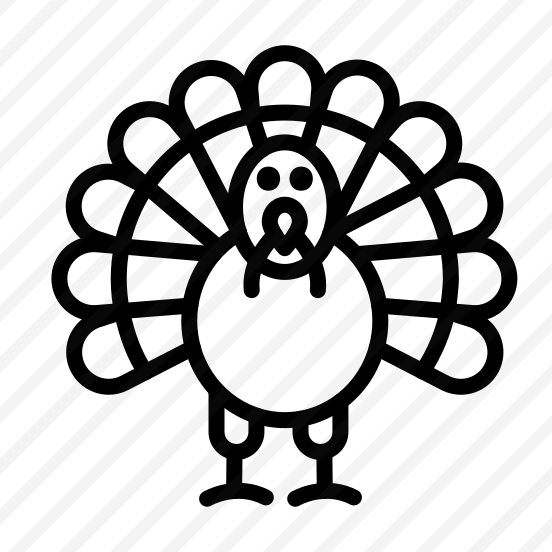 Turkey Chicken,thanksgiving,bird,animal,farmer preview