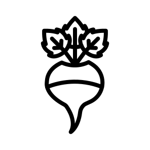 Turnip,food And Restaurant,organic,healthy Food,vegetable icon