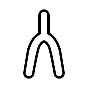 Wishbone,bird,broken,bone,bones icon