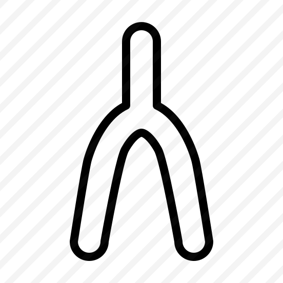 Wishbone,bird,broken,bone,bones preview