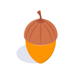 Acorn, Nut, Oak, Nutritious, Organic icon