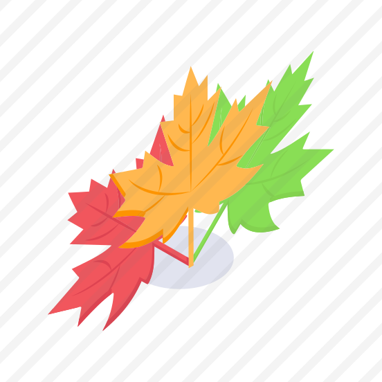 Autumn, Leaves, Thanksgiving, Leafage, Foliage preview