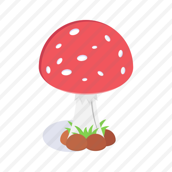 Mushroom, Toadstool, Fungi, Edible, Food preview