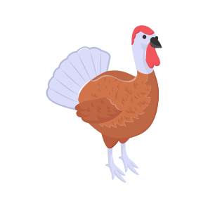 Turkey, Bird, Thanksgiving, Creature, Animal icon