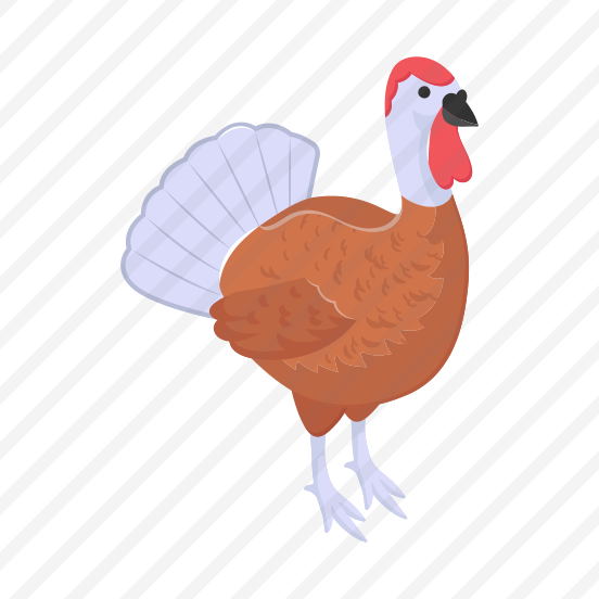 Turkey, Bird, Thanksgiving, Creature, Animal preview