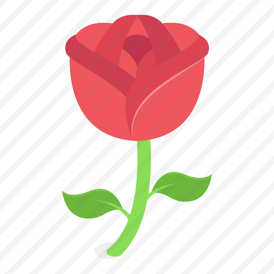 Red Rose, Rose, Flower, Love, Valentines preview