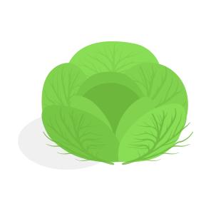 Brussels, Plant, Decorated, Healthy, Sprout, icon