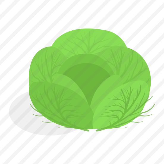 Brussels, Plant, Decorated, Healthy, Sprout, preview