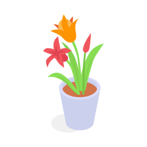 Flower, Plant, Decorative, Unique, Houseplant icon