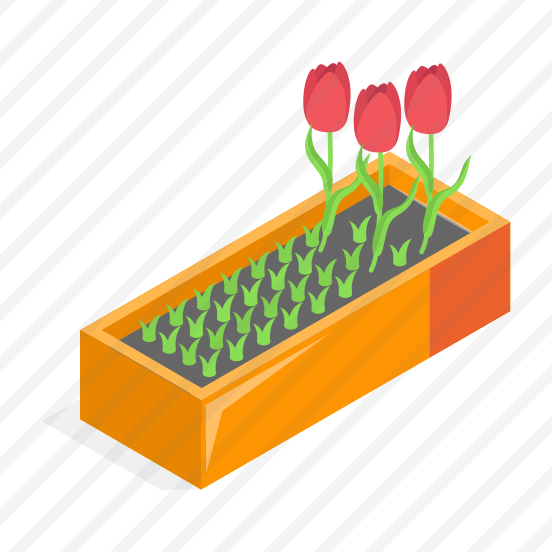 Flower, Plant, Potted, Houseplant, Gardening preview