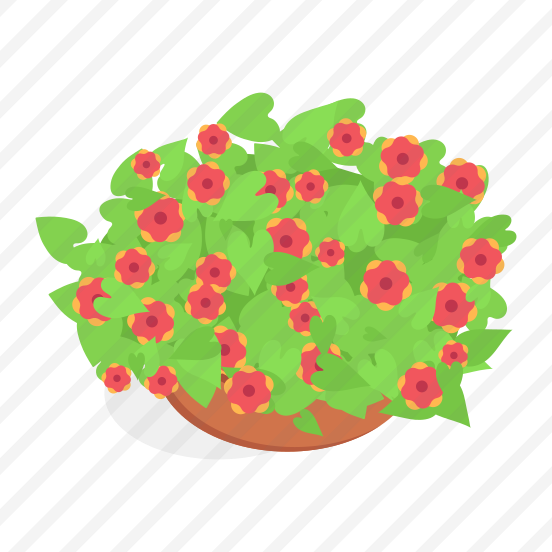 Flowers, Plant, Decorative, Nature, Home preview