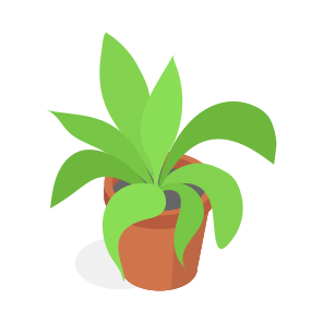 Flowers, Vase, Glass, Arrangement, Decorative icon