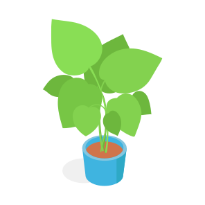Plant, Decorative, Botanical, Houseplant, Indoor Plant, icon