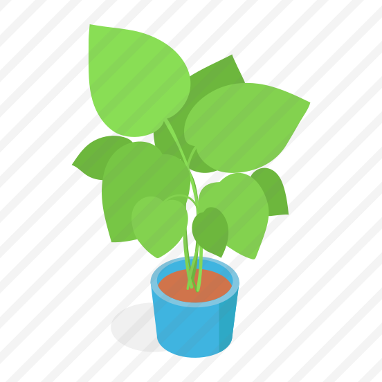 Plant, Decorative, Botanical, Houseplant, Indoor Plant, preview